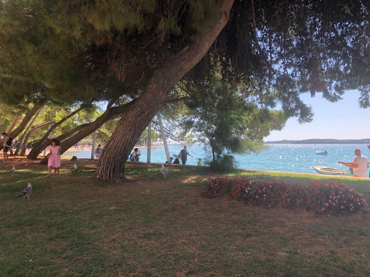 Istrian Stone House In The Heart Of The Beautiful Fishing Village Fazana - Only Few Steps From The Sea And The Wonderful Beach - Incl Plasma-Quad-Plus-Filter Against C O V I D Extérieur photo